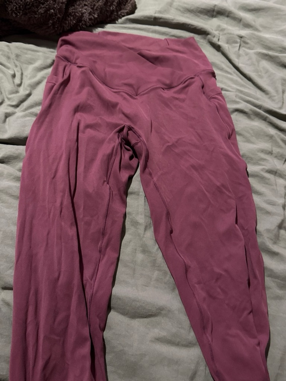 HALARA Women's High-Waisted Leggings in Plum